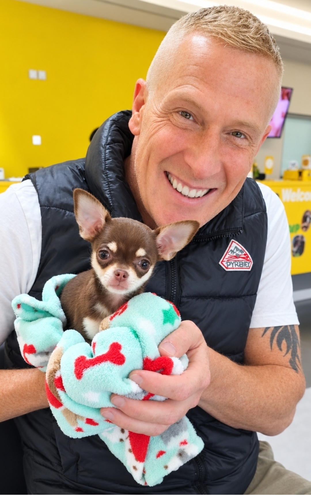 Dogs Trust Photo